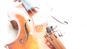 Viola closeup showing strings and f holes